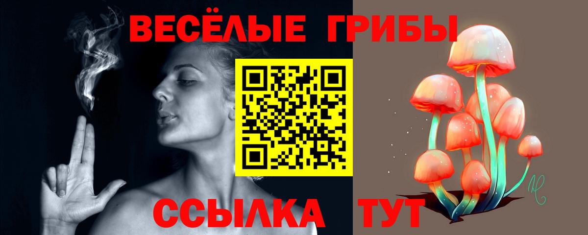 Псилоцибиновые грибы Psilocybine cubensis Махачкала