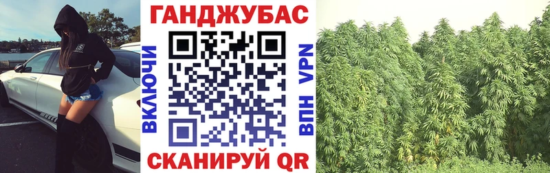 блэк спрут ССЫЛКА  Махачкала  Бошки марихуана тримм 